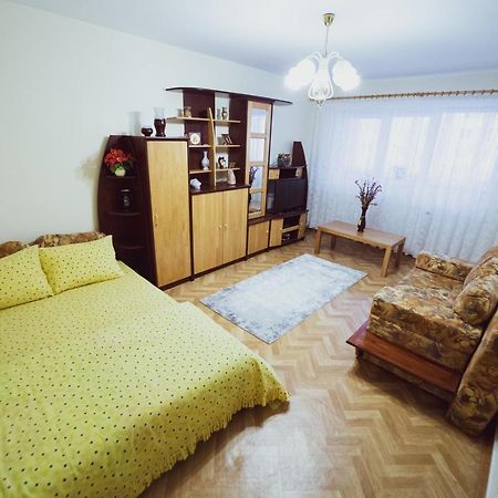 Апартаменты Apartament Slanic Prahova Экстерьер фото