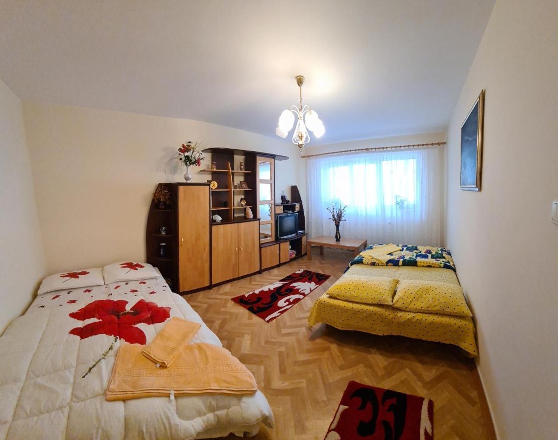 Апартаменты Apartament Slanic Prahova Экстерьер фото