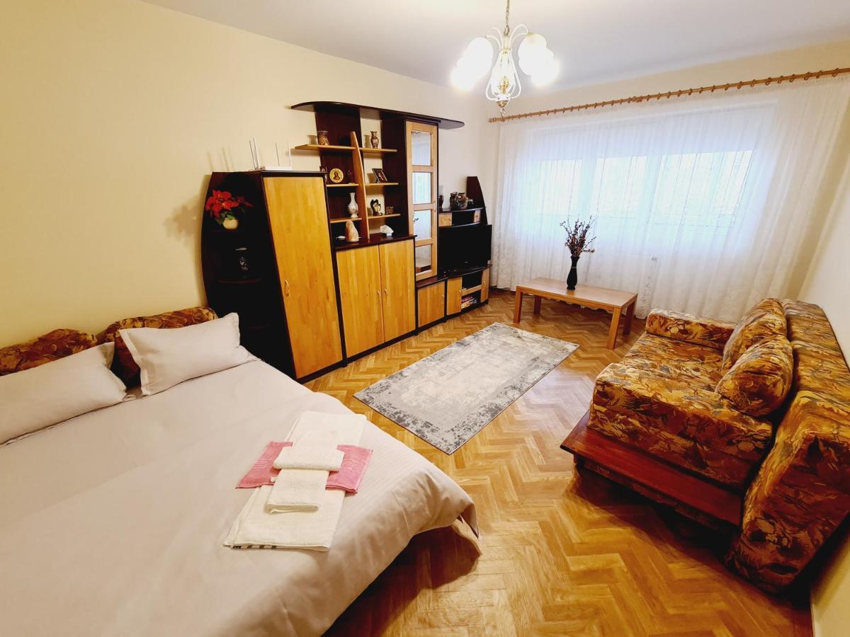 Апартаменты Apartament Slanic Prahova Экстерьер фото